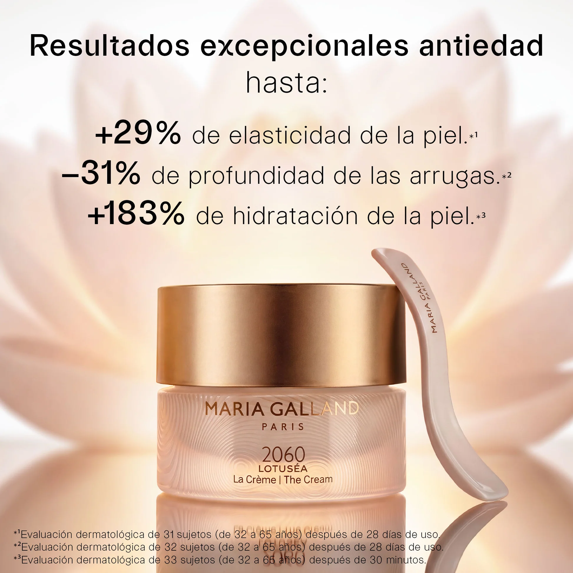2060 LOTUSÉA The Cream - Image 4