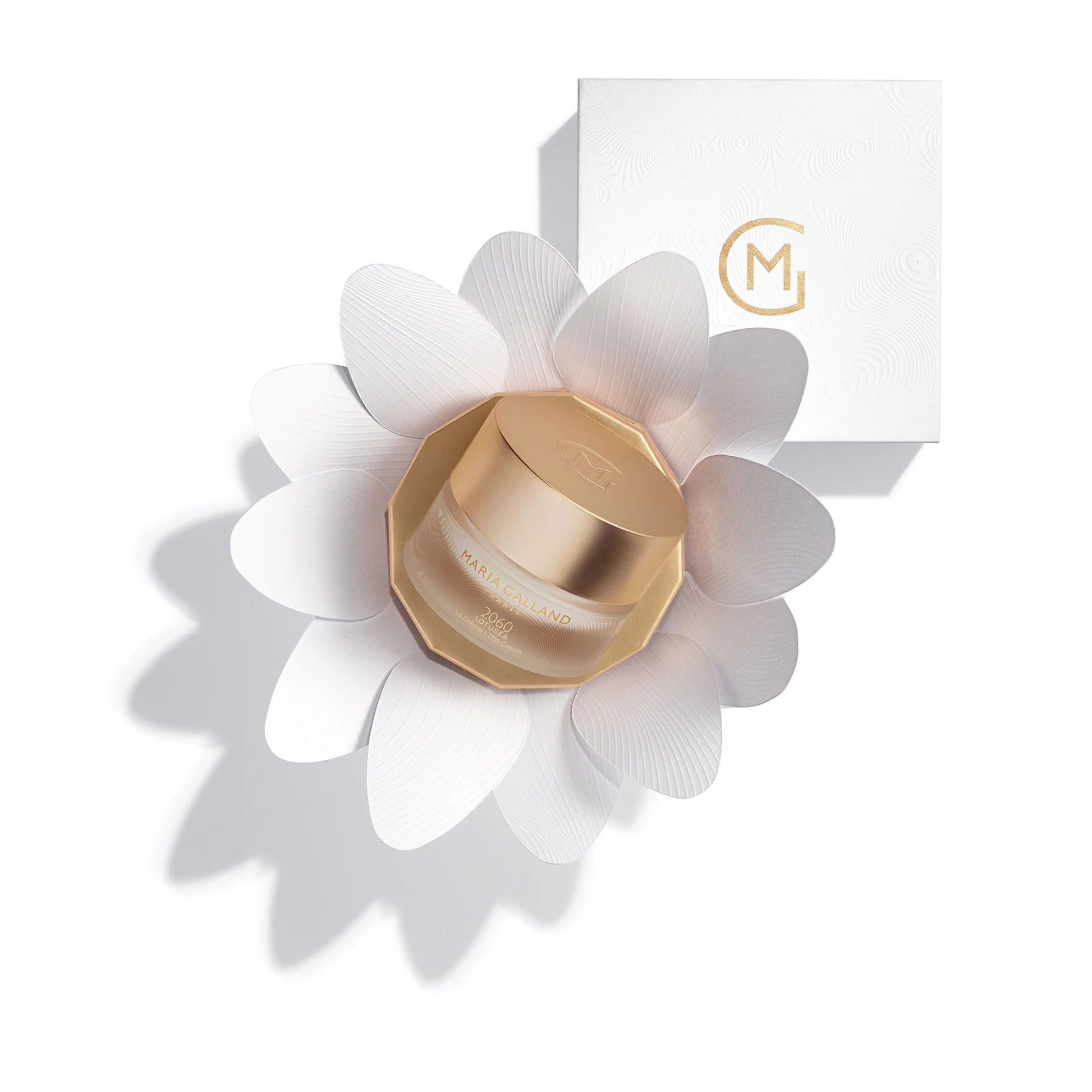 2060 LOTUSÉA The Cream - Image 3
